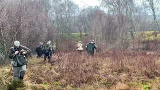 Spaniel championship 2023  Dave Templars Second run with FTCH Sedgewood Poppy Of countryways