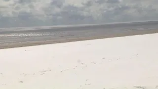 Galveston beach covered in snow