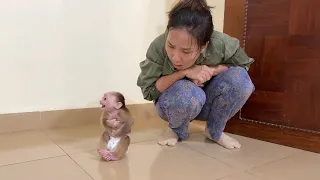 Chichi Tiny Sit On Floor Backward Reject Mom Sorry Her For Lately Home