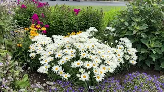 Proven Winners Trial Garden Bed Tour July 2023