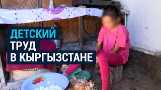 Трудящиеся дети Кыргызстана
