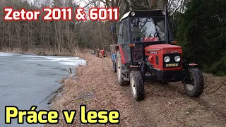 Zetor 2011 & 6011 | Práce v lese | tahání stromů | Zetory v akci | 2022 | ORIGINAL ZETOR SOUND