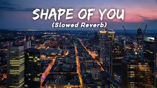 Shape of You | Ft. Ed Sheeran (Slowed Reverb) LMH 🎧
