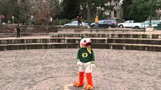 Harlem Shake Oregon Duck