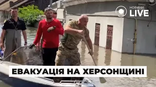 🔴СИТУАЦІЯ НА ХЕРСОНЩИНІ: Як відбувається евакуація і порятунок тварин / Останні новини | Новини.LIVE