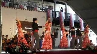 Coros y Danzas de Granada (Fandango de Granada)