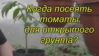 Когда сеять томаты для открытого грунта (для любого региона)? Не ошибитесь!!!