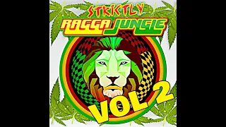 RAGGA JUNGLE IS MASSIVE VOL 2 MIXED BY DJ STP