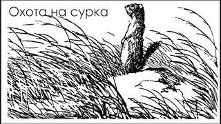 Охота на сурка.