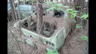 Barn Finds - 56 Classic Mustangs Discovered in Woods in Louisiana