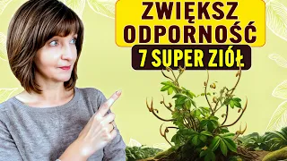 7 najmocniejszych ZIÓŁ na ODPORNOŚĆ i BORELIOZĘ