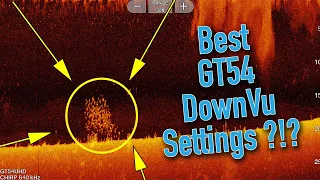 Best Gt54 Settings forDownVu /Down Imaging ?!?