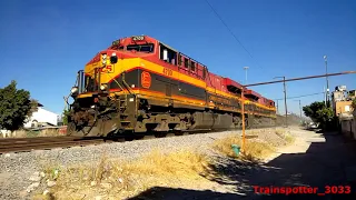 La típica imprudencia con el tren en Sta. María Magdalena, Qro