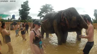 Elephant sanctuary, Phuket, Thailand