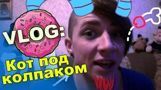 VLOG: КОТ ПОД КОЛПАКОМ / Андрей Мартыненко