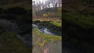 😱MOST DANGEROUS Water in the WORLD (Bolton Strid)