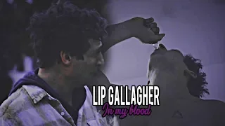 Lip Gallagher- In my blood