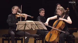 Brahms: Piano Trio B major op. 8 (1889) | Amelio Trio