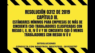 RESOLUCIÓN 0312 DE 2019 Capítulo III