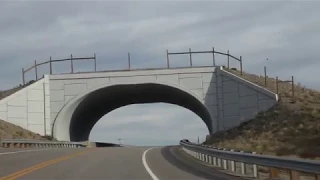 Wildlife crossing bridge