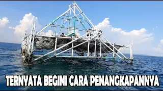 Floating Chart Fisherman's | Ternyata Begini Cara Penangkapan Ikan di Bagan Apung Derigen