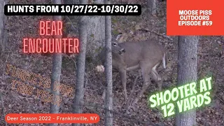 Hunts from 10/27 - 10/30/22 Franklinville NY - Bear Encounter! Shooter at 12 Yards. Deer Moving!