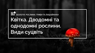 Квiтка. Дводомнi та однодомнi рослини. Види суцвiть (Суцвіття). Відео 1 3 1 3