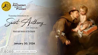 Tuesday Devotion to Saint Anthony of Padua | 7:30 AM Holy Mass | January 30, 2024