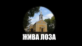 2022.11.13- 9:00 (нд) Ранкове служіння - церква ЄХБ № 2, м. Чернівці