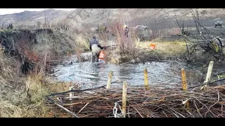 Restoring streams post-fire with low-tech structures in Idaho