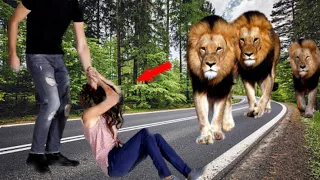 This Man Wanted to Attack the Little Girl but What the lions Did Was Unbelievable.