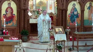 15 Nov 2020: 8th Sunday of Luke - Orthros & Liturgy from Panagia Cathedral in Toronto Ont Canada