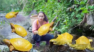 Find Catch A Lot Of Turtle In The Rock Crevice...Go To Market Sell -  Farm Life: Cooking & Gardening