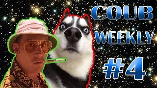 COUB Weekly #4 Лучшее за неделю !