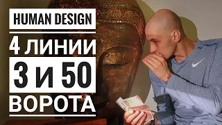 Дизайн Человека 3 и 50 ворота. 4 линии Даниил Трофимов. Human Design