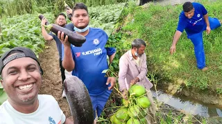 A Day In The Life Of A Young Trinidad Farmer Part 2