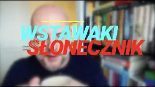 Wstawaki [#1385] Słonecznik