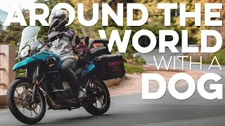 Jess rides the world with her German shepherd on the back! MOTOVLOG adventure like no other!