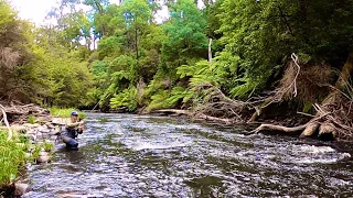 Fly Fishing Melbourne's Yarra River