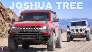 Which One Had PROBLEMS in Joshua Tree?