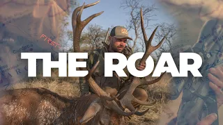 The Roar | Argentina Red Stag | The Sako Great Hunt Series