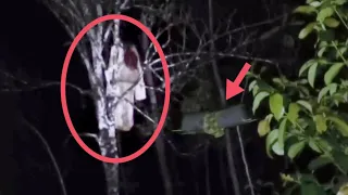 SUNDEL BOLONG NANGKRING ! 5 PENAMPAKAN HANTU DAN VIDEO SERAM - Scary Videos