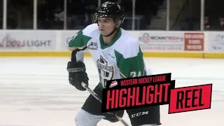 2017-18 HIGHLIGHT REEL | Cole Fonstad