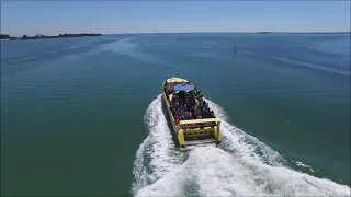 DOLPHIN SURFING SPEEDBOAT ADVENTURE