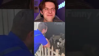 You Laugh You Lose... (tiktok edition) 😳🤣