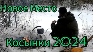 ПОТЕПЛЯЛО. ТАКОЕ БЫВАЕТ ДО ОБЕДА, ДАЛЬШЕ ТИШИНА. ОКУНЬ ЗВЕРСТВУЕТ. ОДИН В ЛЕСУ.