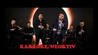 Florin Cercel - Banii nu te fac nemuritor-Karaoke/Negativ🥇