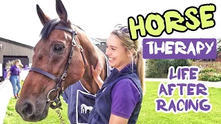 HORSES ARE THERAPY | Ex Race Horse becomes Therapy Horse