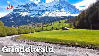 Switzerland Grindelwald Most amazing Village Walking Tour 🇨🇭