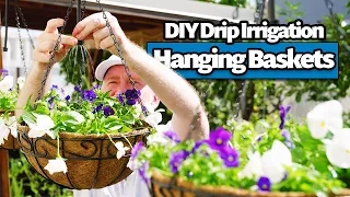 How to Install a Hanging Basket Drip Irrigation System (DIY Beginner's Guide)